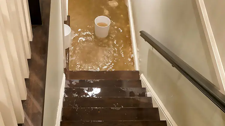 شركة كشف تسربات المياه بمحايل عسير