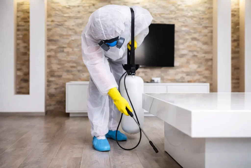 شركة مكافحة حشرات