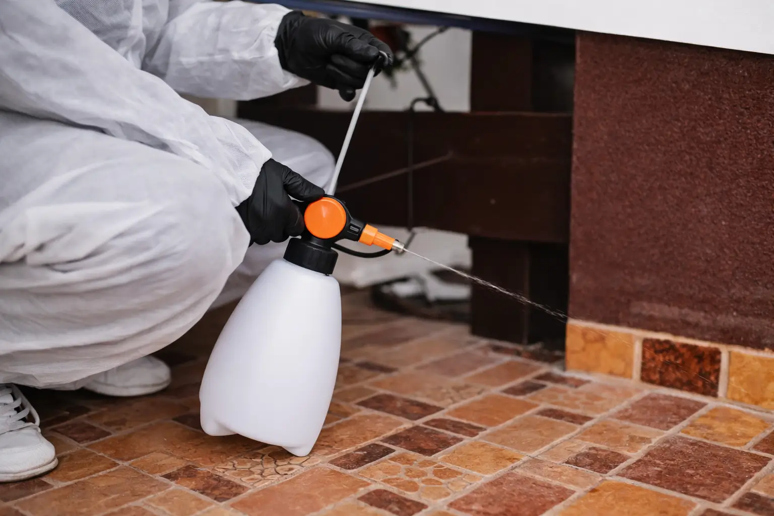 شركة مكافحة حشرات